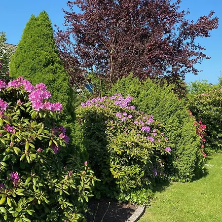 Apartament Haus Tulle - 2 Schnupp & Luette Mit Saisonstrandkorb